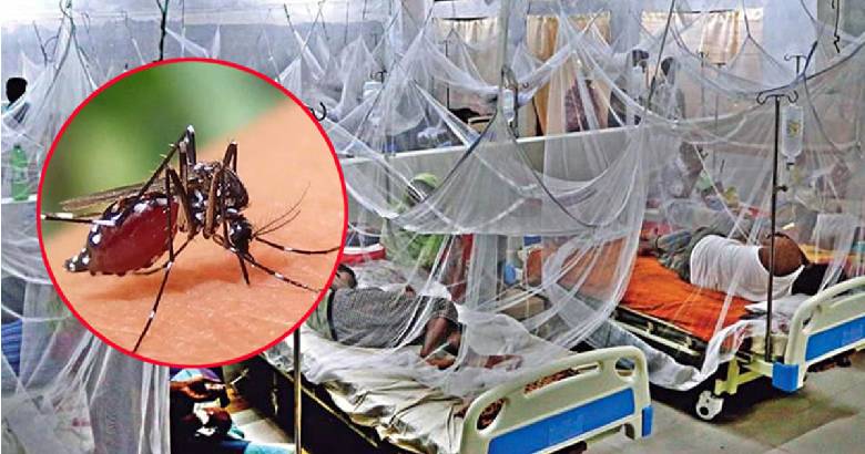 ২৪ ঘণ্টায় ৬৫৯ নতুন ডেঙ্গু রোগী হাসপাতালে ভর্তি